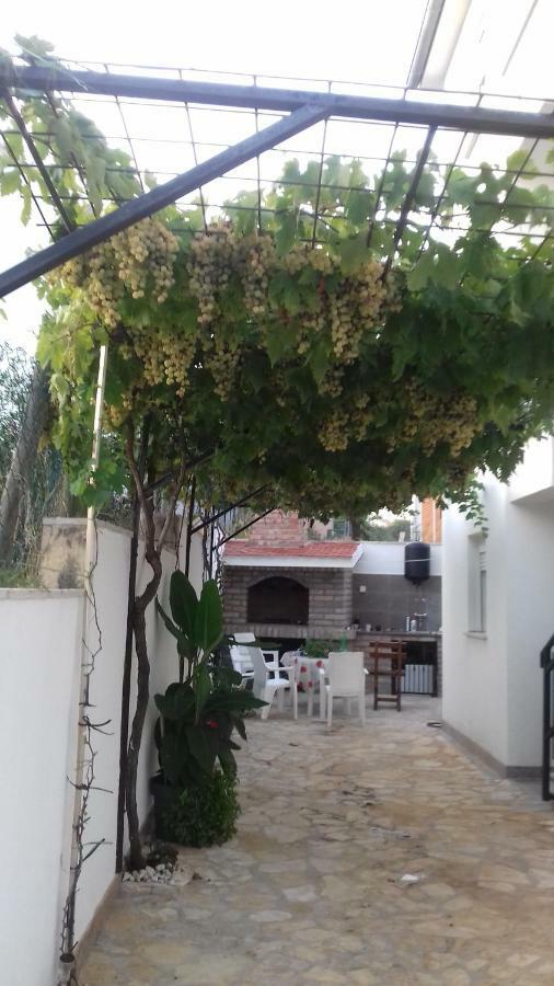 Apartmani Svalina - Seaview And 130M From Beach تروغير المظهر الخارجي الصورة